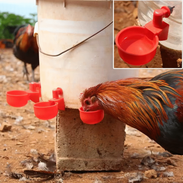 6-36Pcs Automatic Chicken Waterer Bird Feeder Poultry Farm Drinking Bowl for Chicken Duck Goose Drinking Water Farm Supplies – Image 3